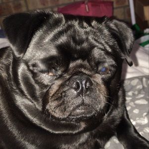 Meet your Posher, Summer